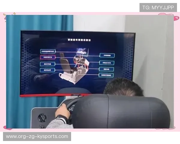 AI驾驶模拟：预测和优化比赛路线，ai驾驶教练