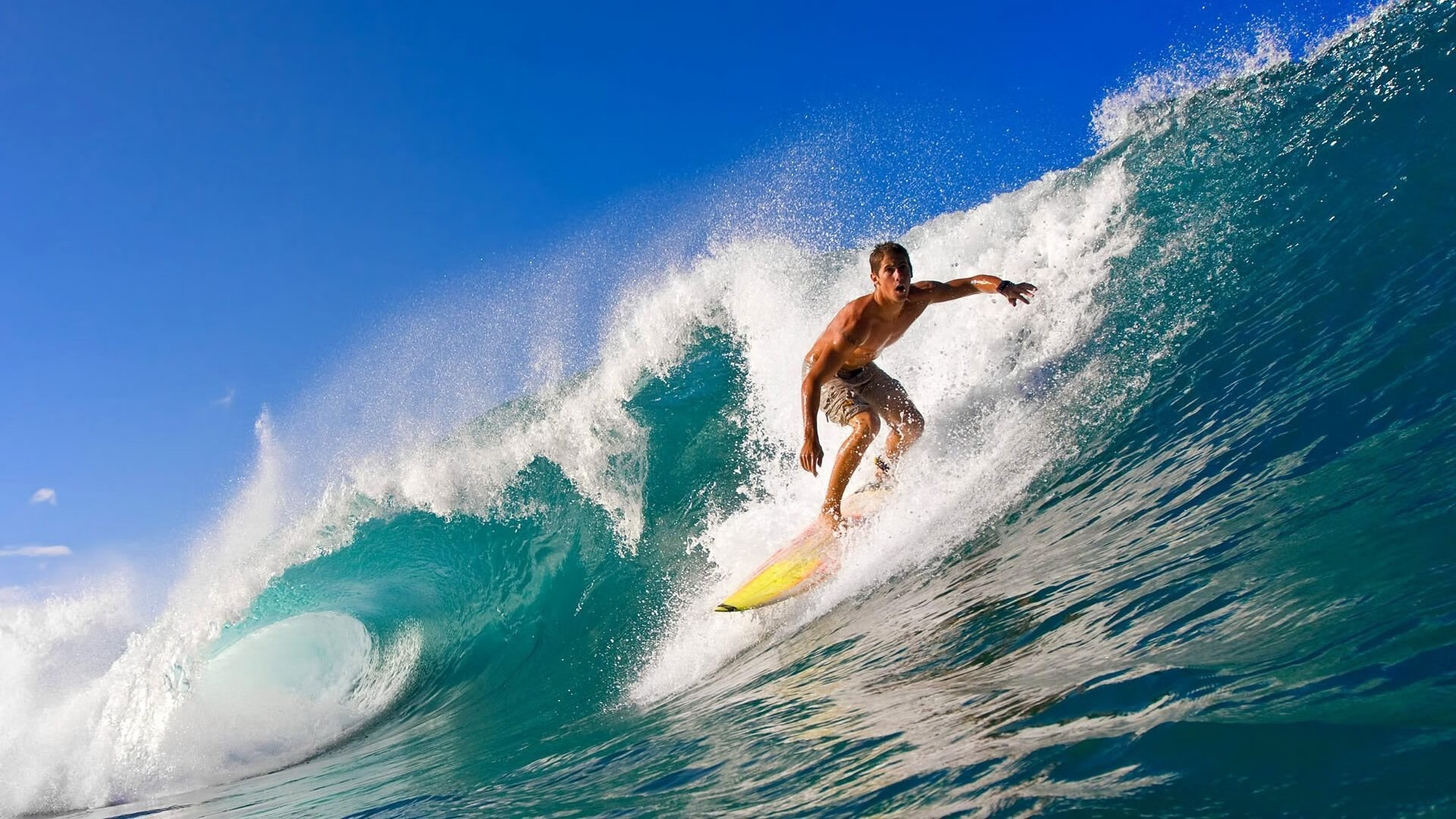 新闻中心公告冬季运动指导员选拔评估标准，运动指导员证